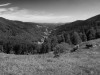 Utsikt mot Sainte-Marie-Aux-Mines, Alsace, Frankrike