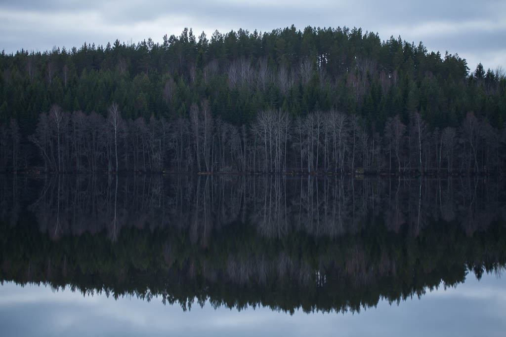 Speglingar i Harssjön