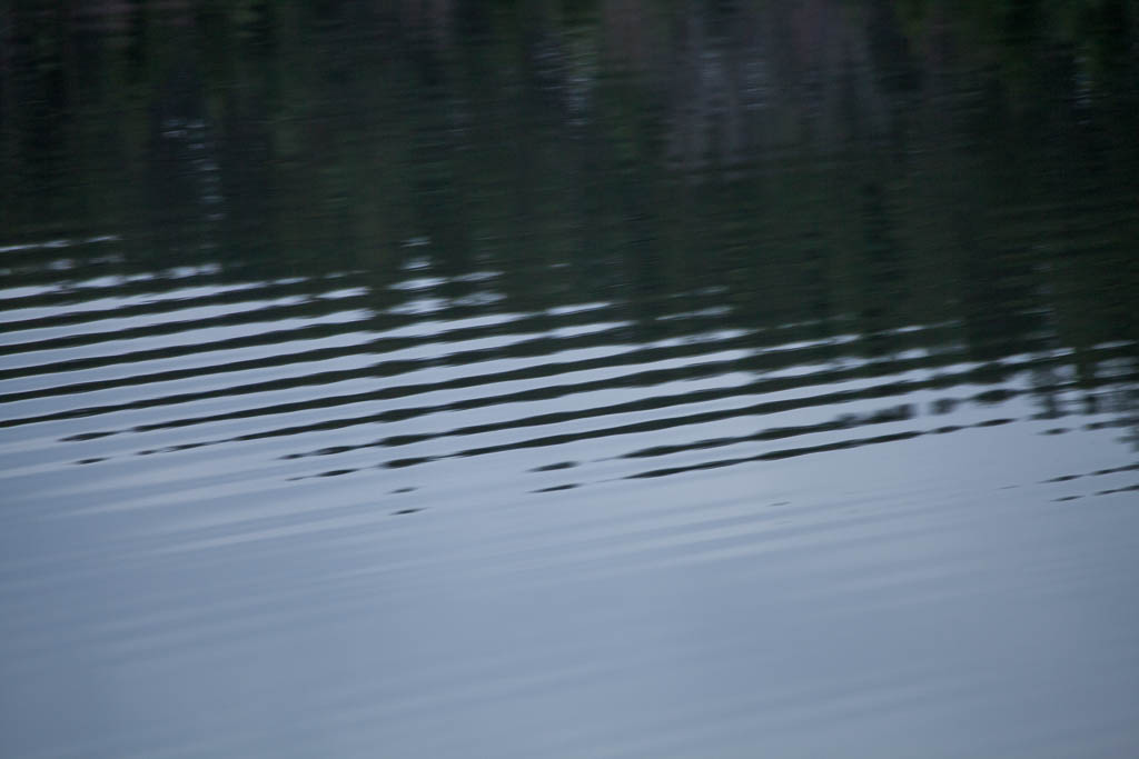 Krusningar på Harssjön